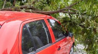 ausgrid electricity outage northern beaches
