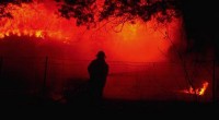 australia burns bushfires 2020